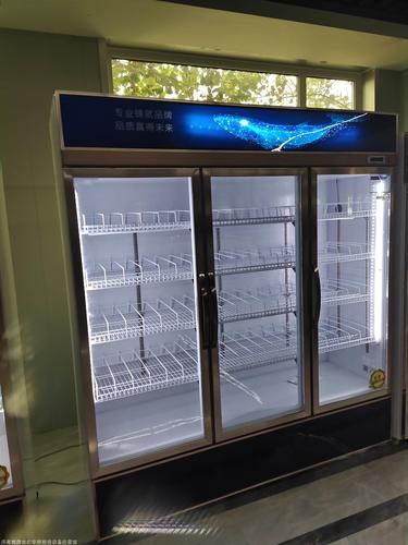 厂家直销超市立式冷藏柜 冷藏水果饮料保鲜柜 立式双门冷藏设备